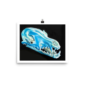 Blue Fox Skull