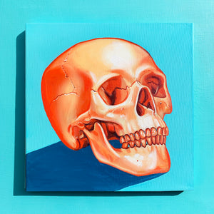 Skull Study in Orange