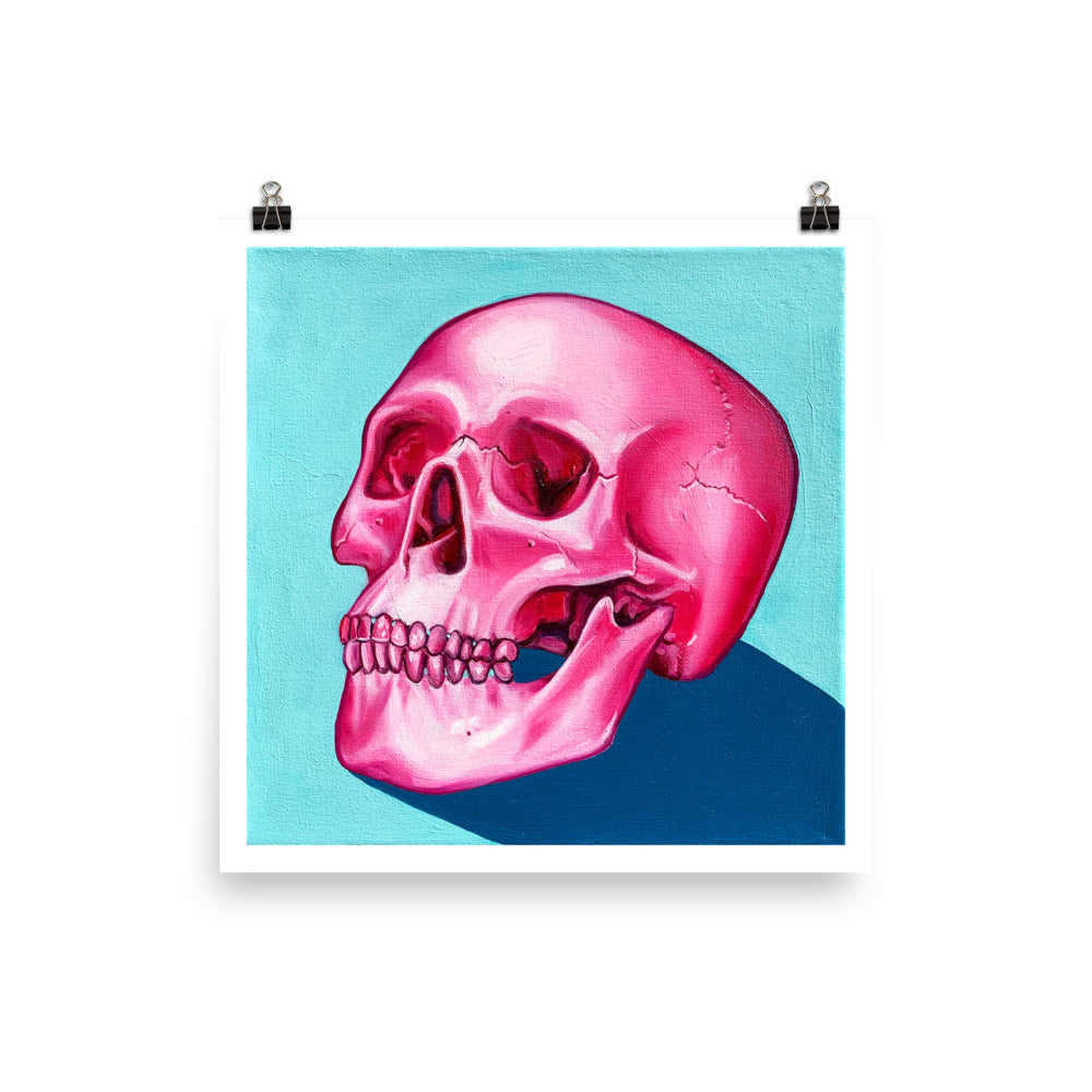 Skull Study in Pink